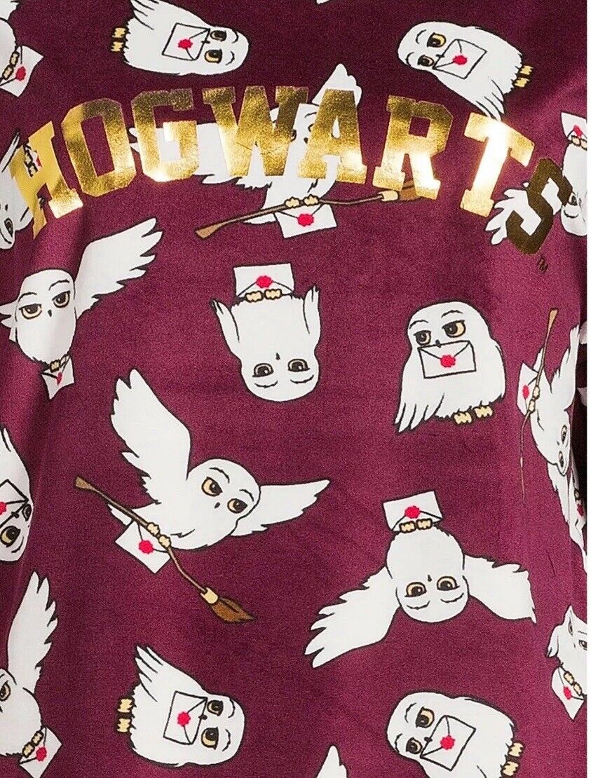 Harry Potter 3pc Velour Pajama Set Womens Hogwarts Hedwig Owl Size 2X