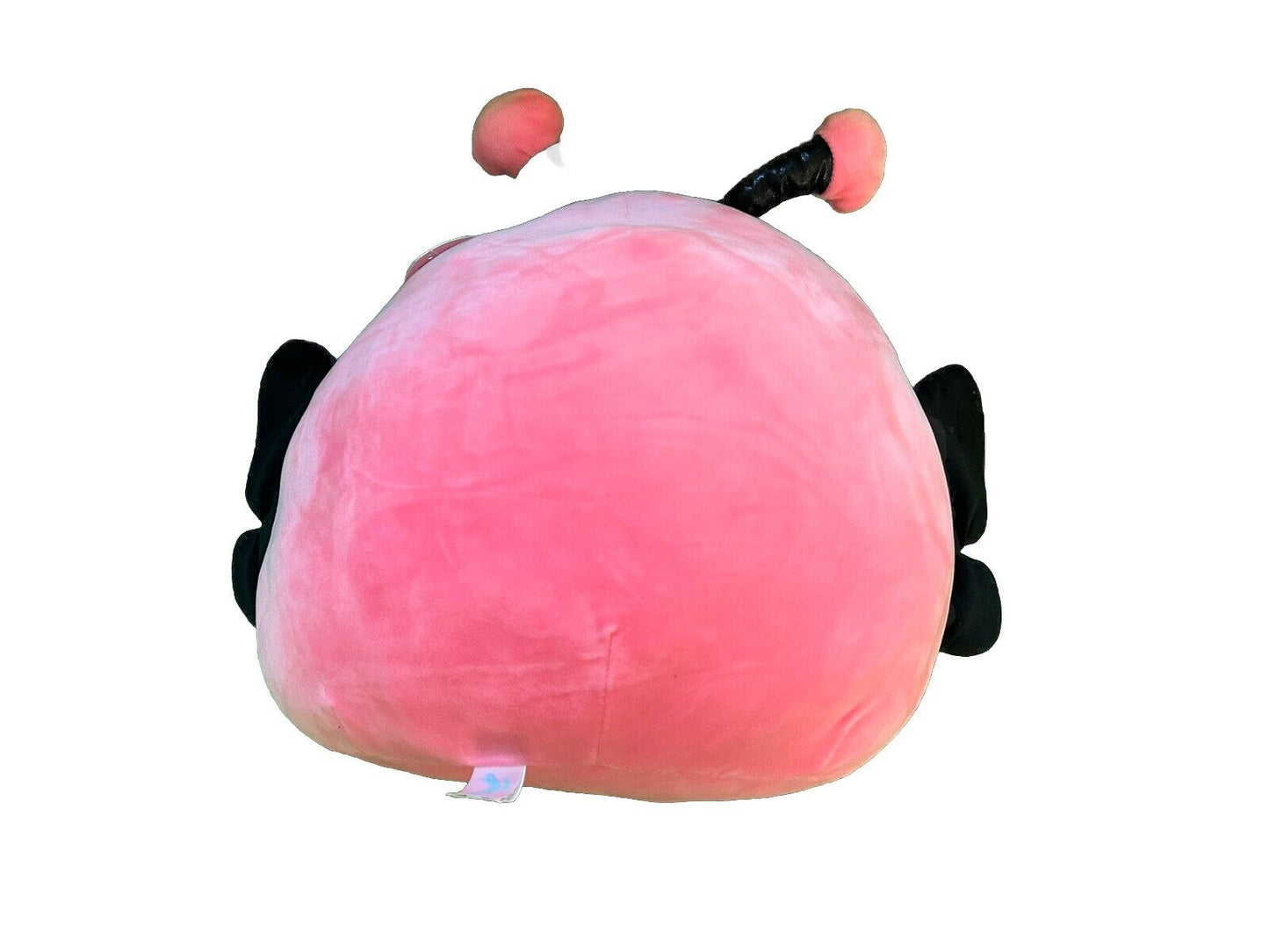 NEW Squishmallows 12” Andreina The Pink Monarch Butterfly Squishmallow Plush