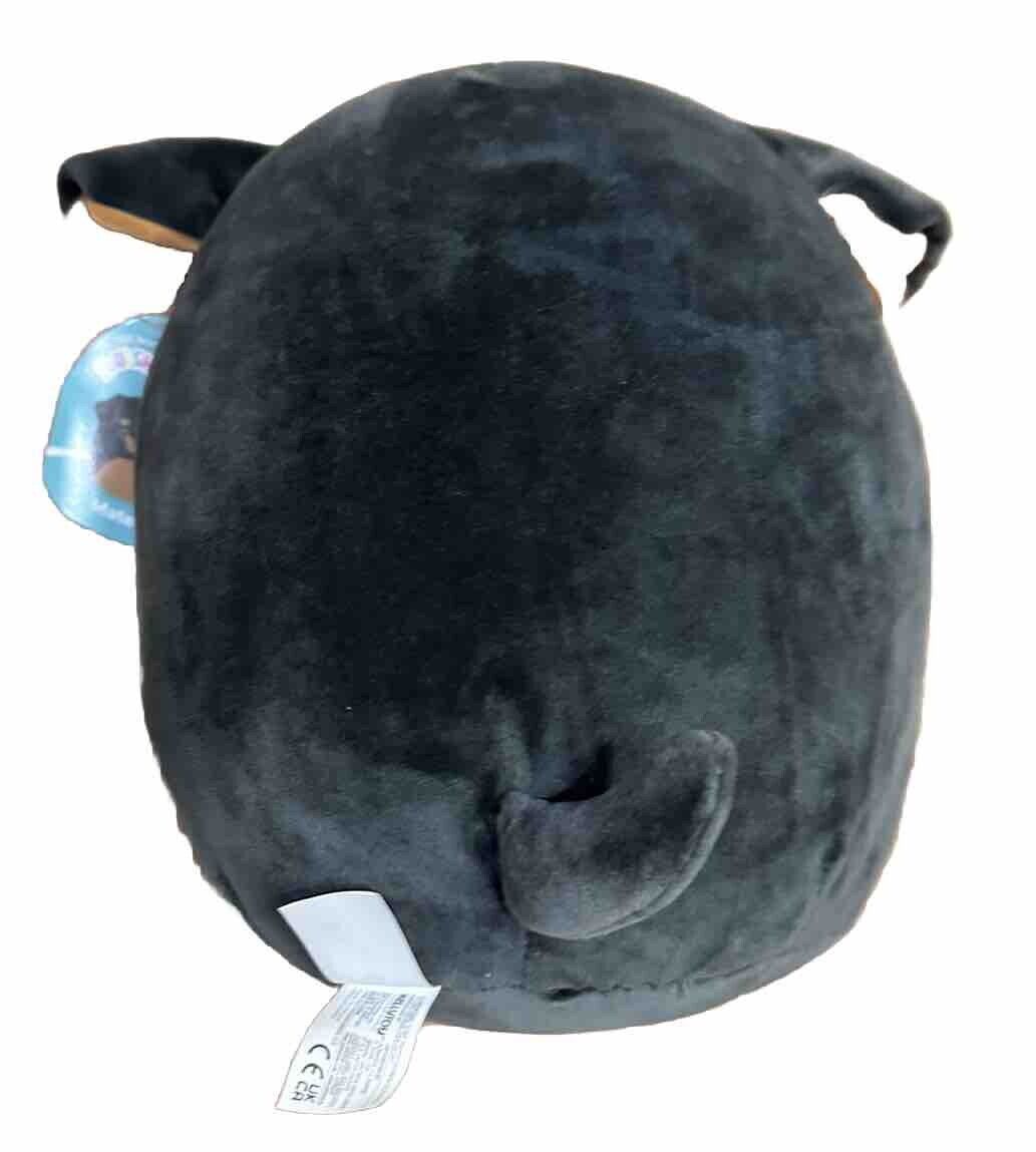 Squishmallows Plush Soft Stuffed 10 Inch Mateo the Rottweiler Dog NWT