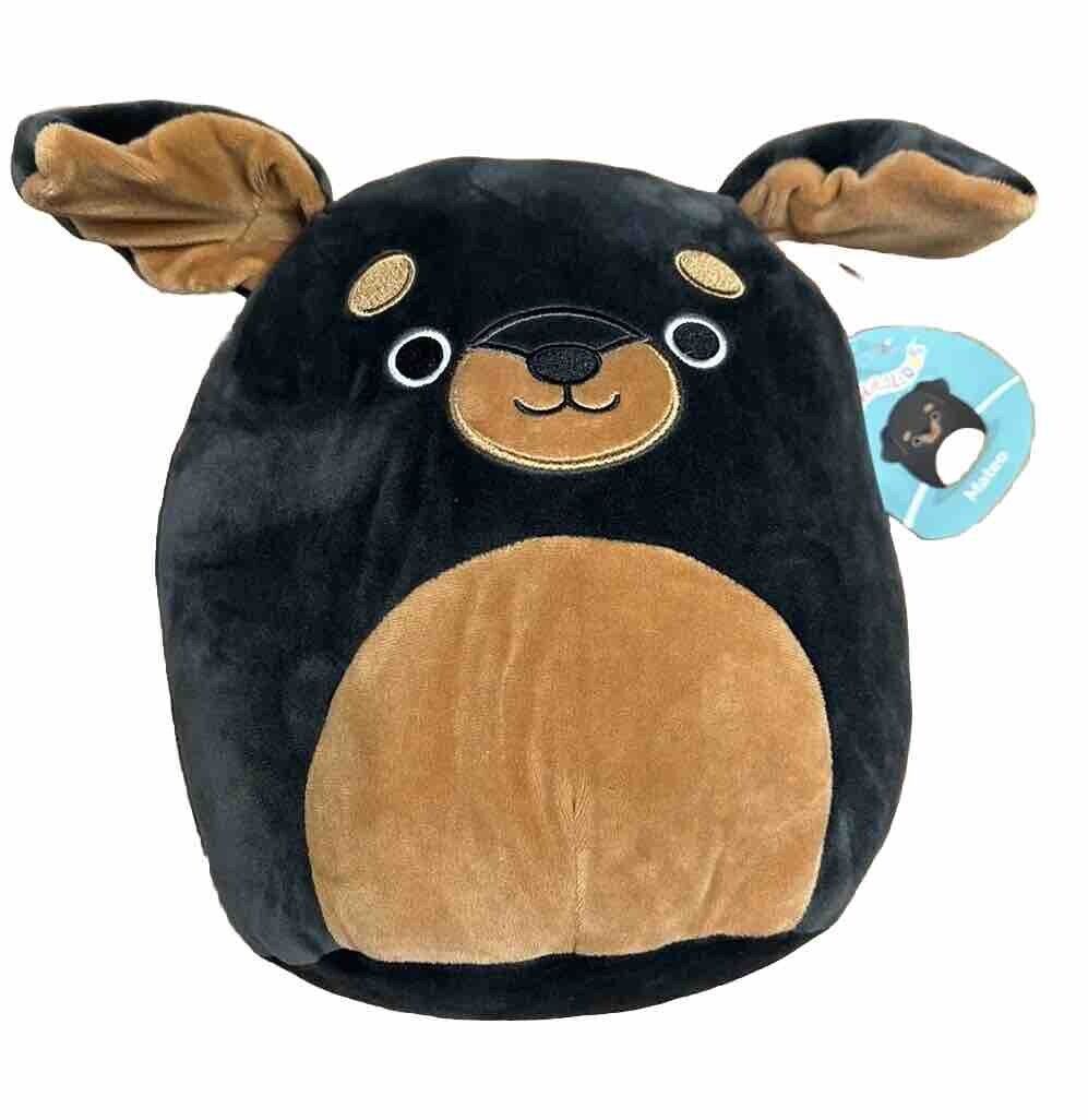 Squishmallows Plush Soft Stuffed 10 Inch Mateo the Rottweiler Dog NWT